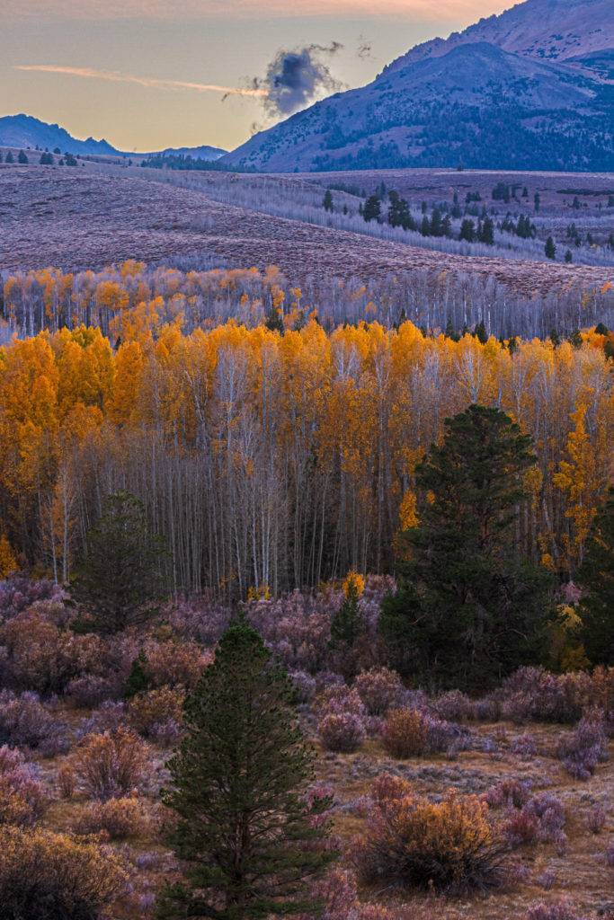 Conway Summit, Mono County, California in the Fall